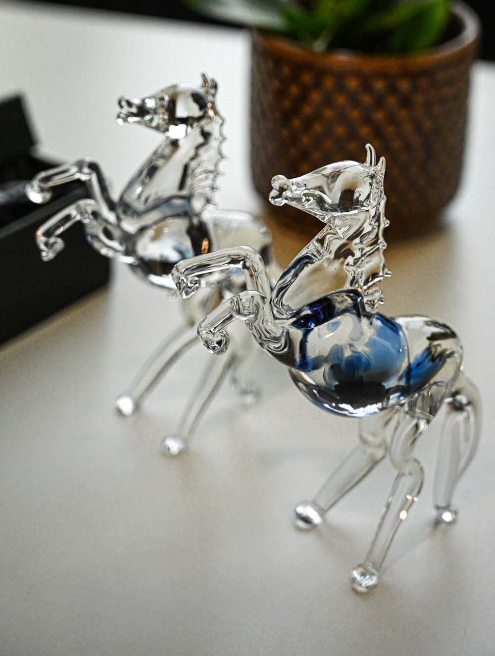 Fine Crystal Glass Curio - Ashva Pair (Set of 2)