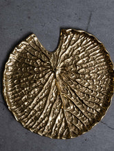 Exclusive Brass Curio / Incense Holder - Waterlily