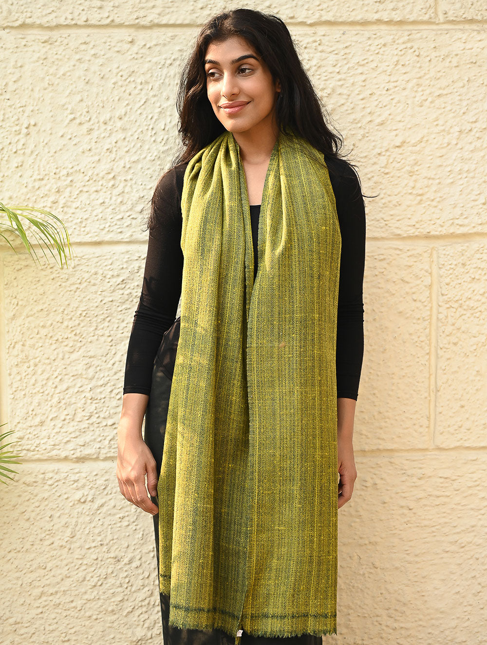 Fine, Soft Himachal Wool Self Striped Plain Stole - Henna Garden