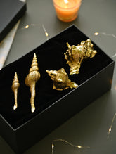 The India Craft House Heritage Gift Hamper - Coastal Keepsakes (Set of 4)
