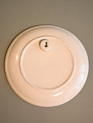 Khurja Pottery Decorative Plate - Noor Blossom