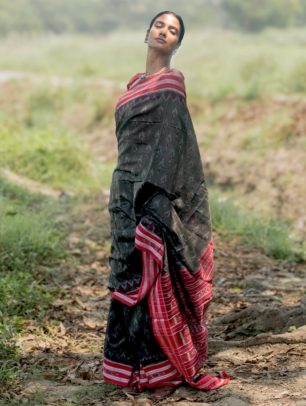 Sambalpuri Handwoven Ikat Soft Cotton Saree - Kansa Raag