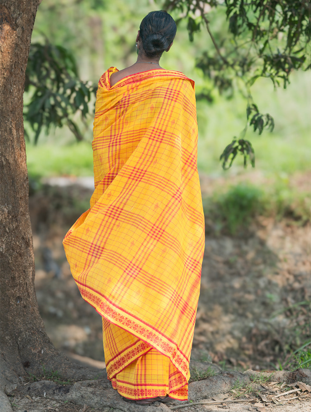 Bengal Weaves. Handwoven Cotton Saree - Basant Tara