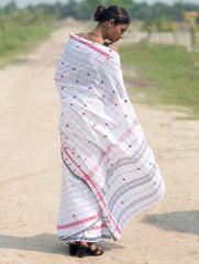 Bengal Weaves. Handwoven Soft Cotton Saree - Ivory Grid