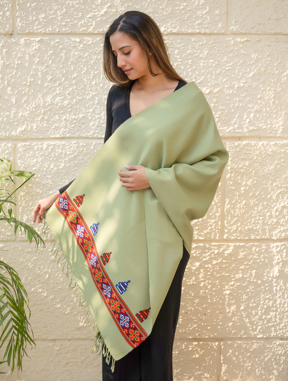 Warm & Cosy Signature Kinnauri Stole - Mist Green