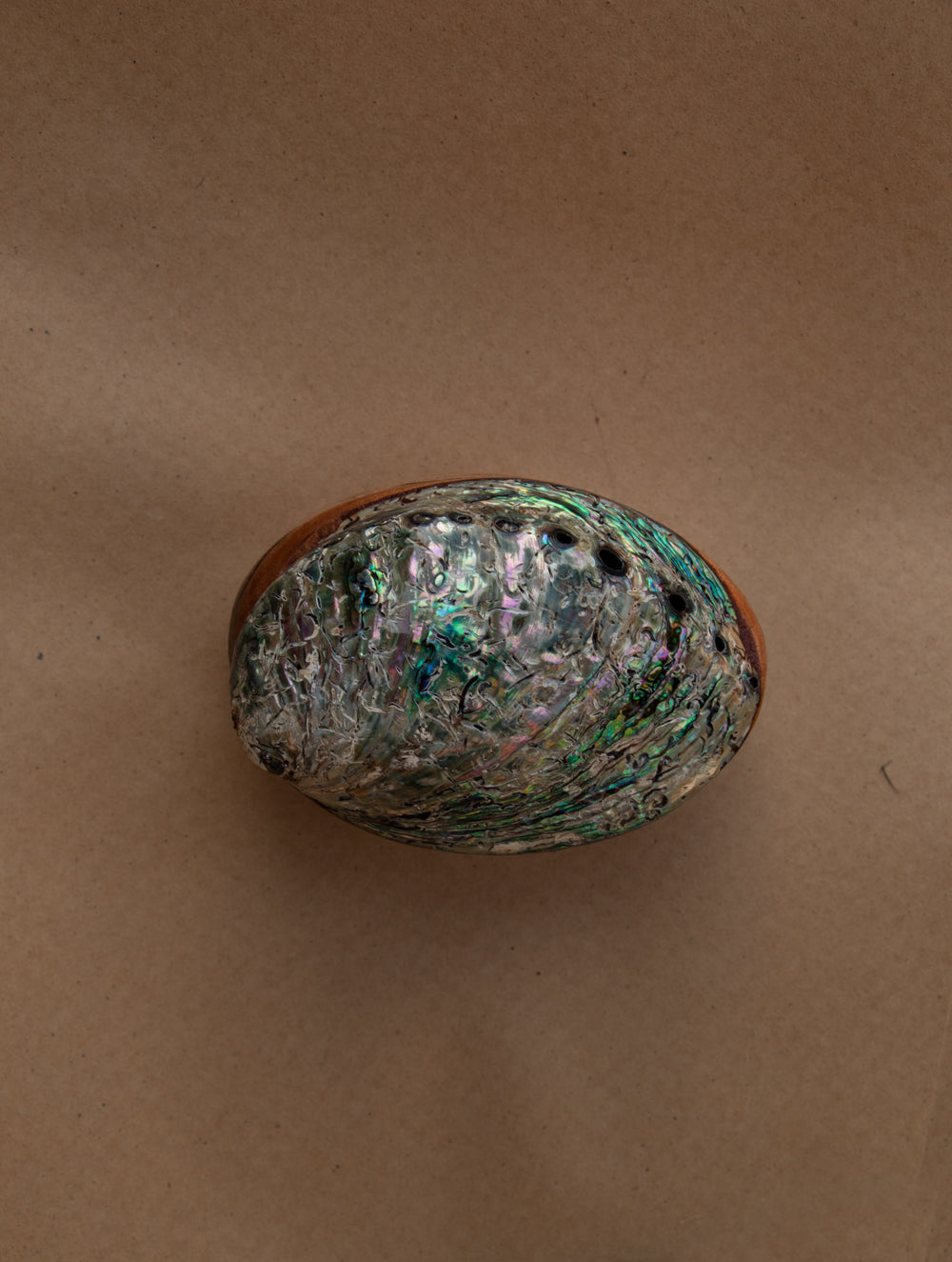 Abalone Shell Craft Multi-Utility Decorative Box (Oval; Rustic Wooden Base)