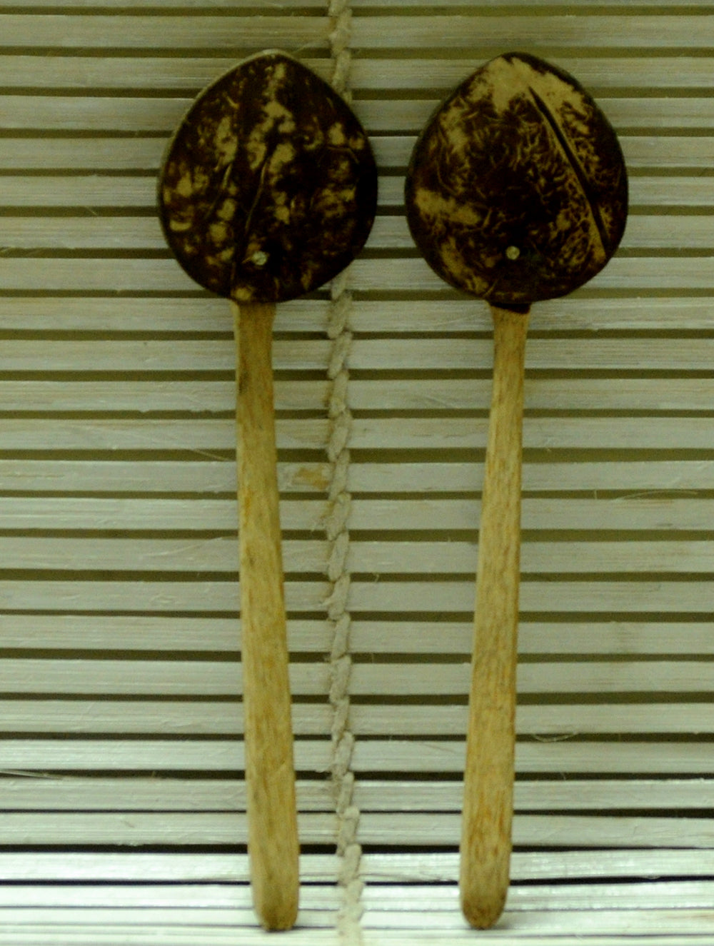 Coconut Craft - Salad Spoon (Set of 2) - The India Craft House