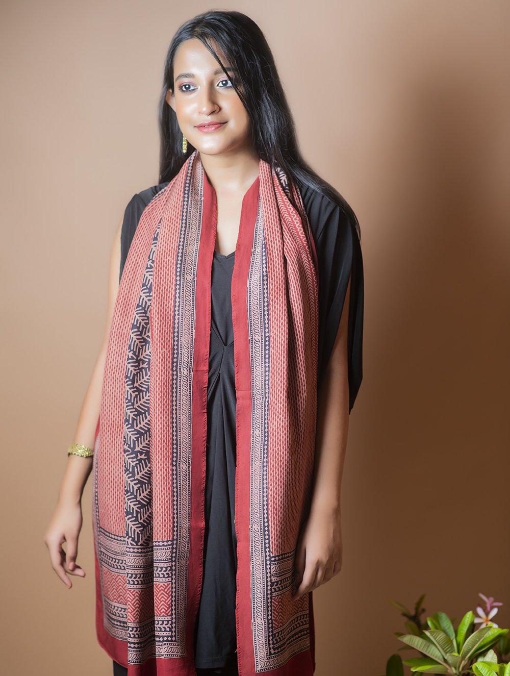 Pure Silk Bagh Printed Stole - Red Stripes