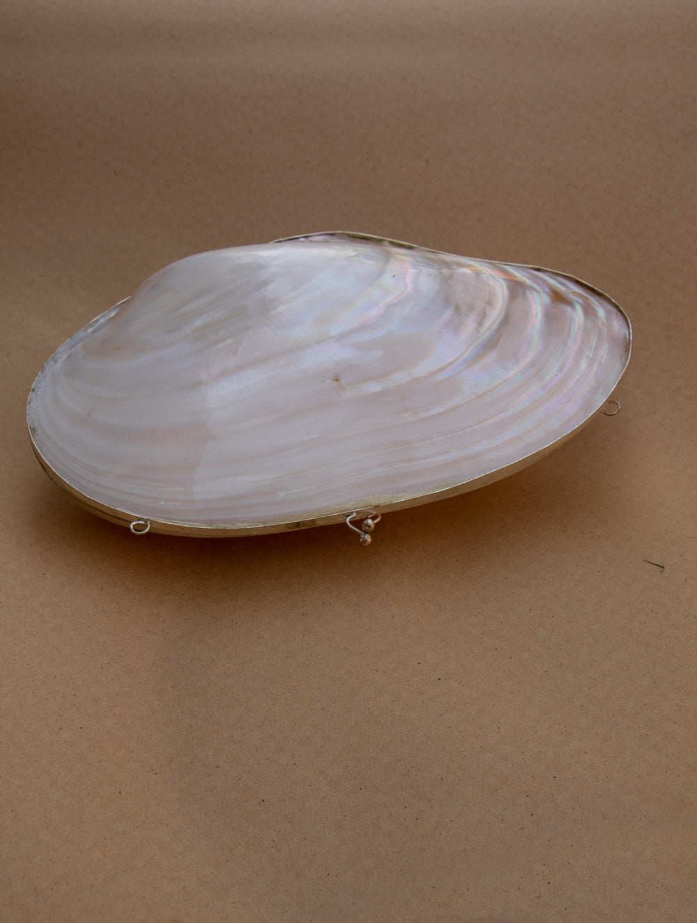 Shell Craft Evening Bag (With Sling)