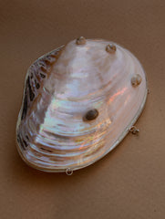 Shell Craft Evening Bag (With Sling)