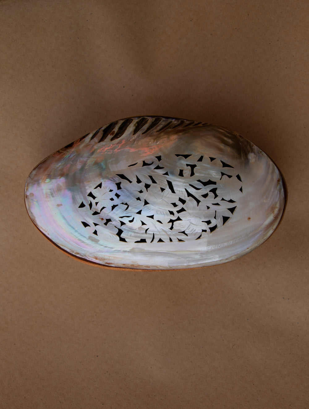 Shell Craft Multi-Utility Decorative Box (Oval; Rustic Wooden Base)