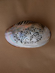 Shell Craft Multi-Utility Decorative Box (Oval; Rustic Wooden Base)