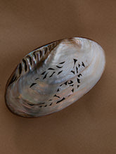 Shell Craft Multi-Utility Decorative Box (Oval; Rustic Wooden Base)