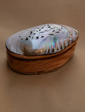 Shell Craft Multi-Utility Decorative Box (Oval; Rustic Wooden Base)