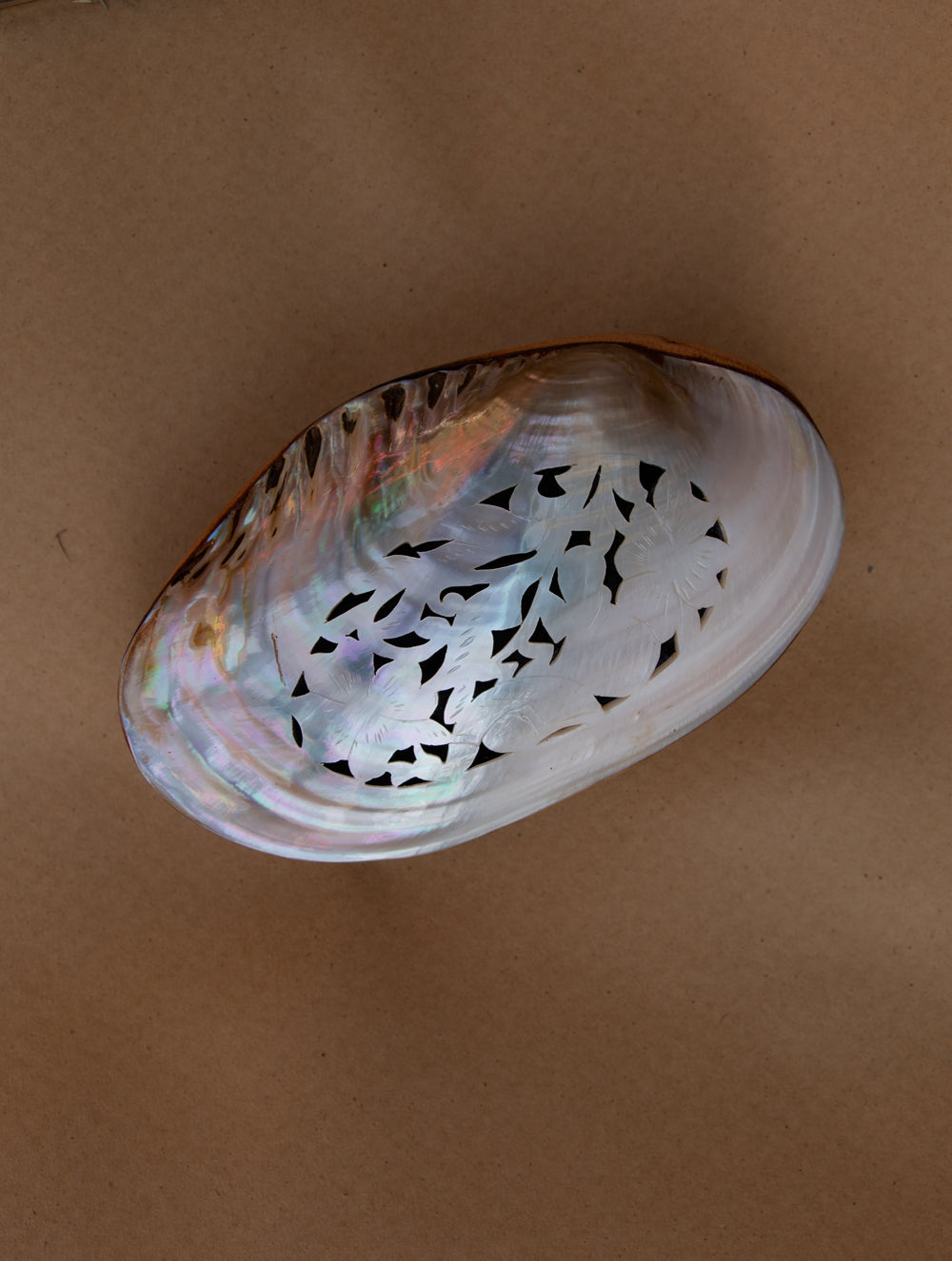 Shell Craft Multi-Utility Decorative Box (Oval; Rustic Wooden Base)