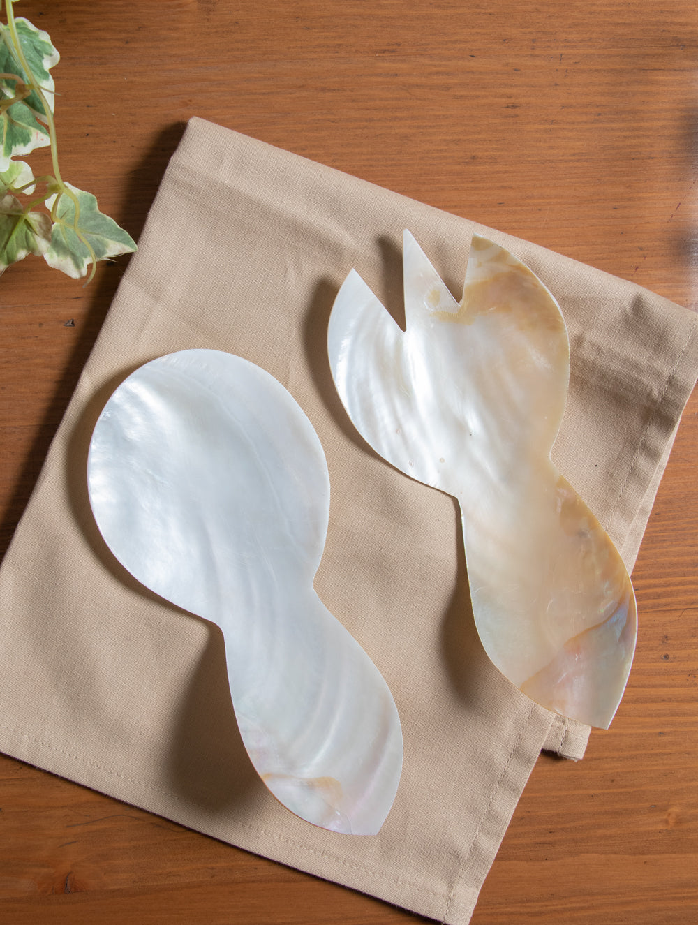 Shell Craft Salad Spoons - (Set of 2) - The India Craft House