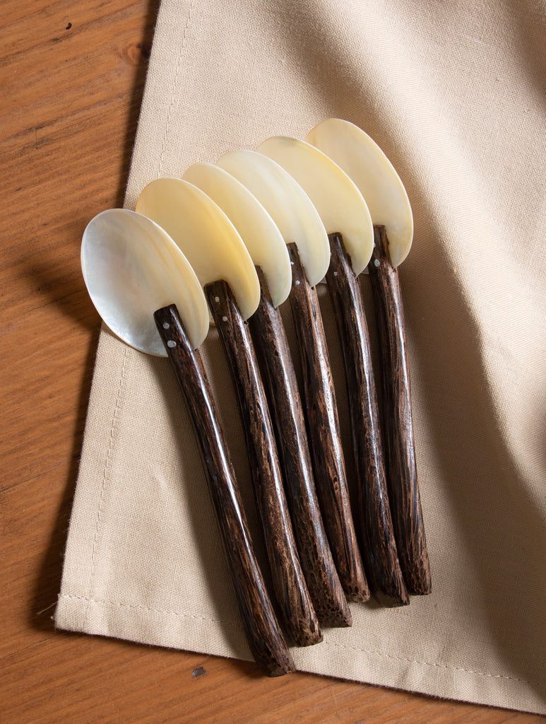 Shell Craft Small Spoons With Coconut Shell Handles - (Set of 6) - The India Craft House 