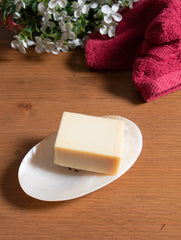 Shell Craft Soap Holder - Oval - The India Craft House