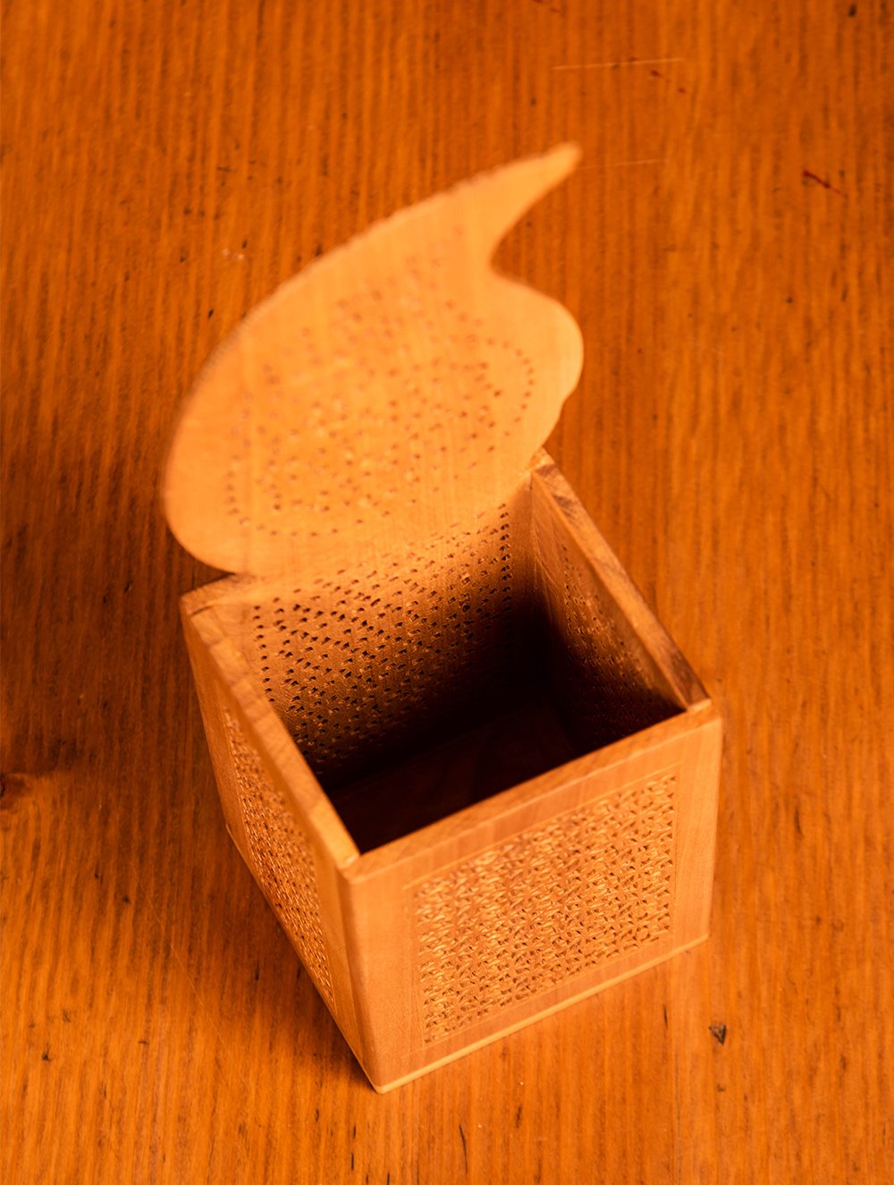 Wooden Jaali Paisley Pen Stand