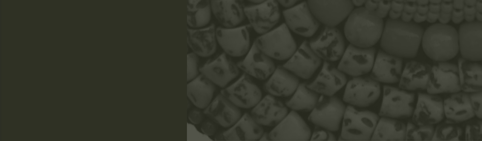 Buy Indian Handicrafts Online at The India Craft House for the perfect gift. Authentic Handcrafted Arts & Crafts from Ladakh. Support the Artisan. Promote Fair Trade