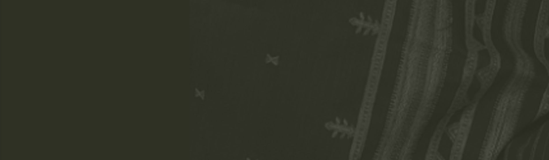 Gujarat Bhujodi & More