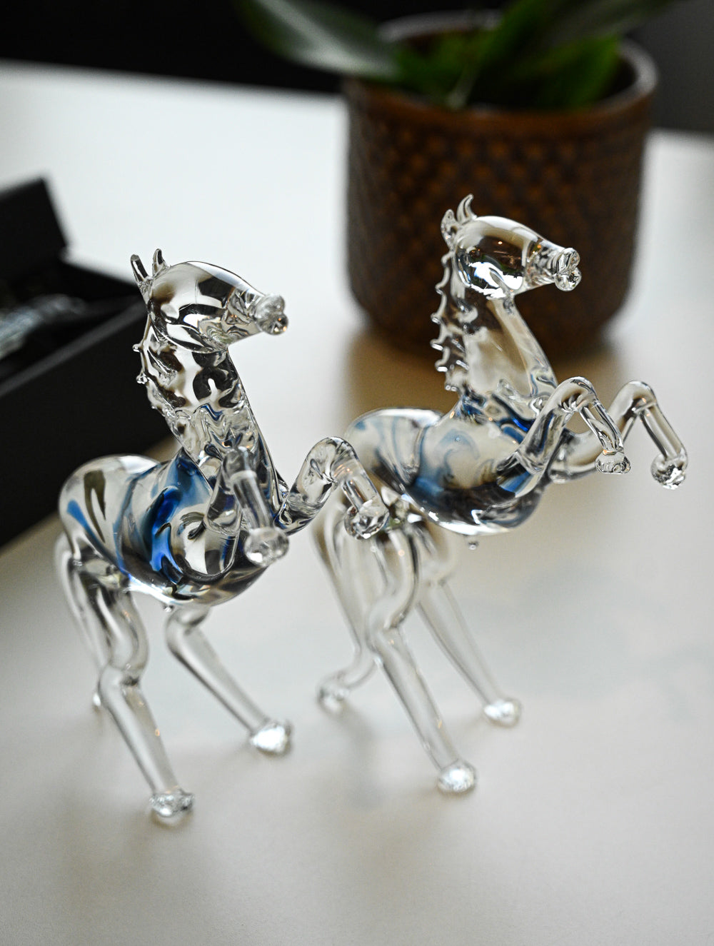Fine Crystal Glass Curio - Ashva Pair (Set of 2)