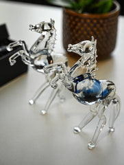 Fine Crystal Glass Curio - Ashva Pair (Set of 2)