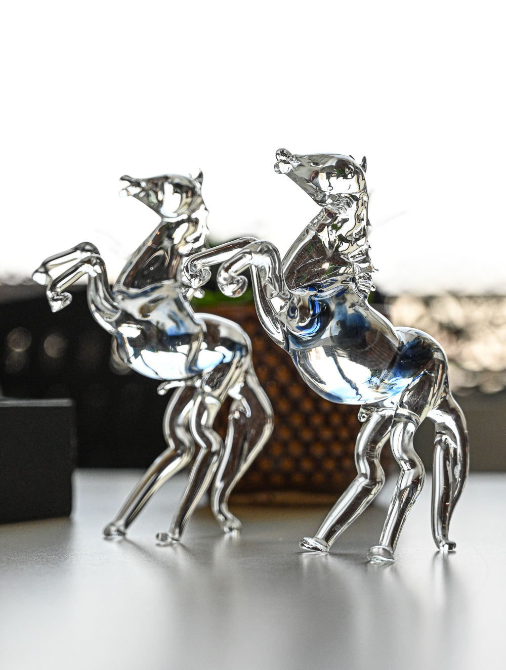 Fine Crystal Glass Curio - Ashva Pair (Set of 2)