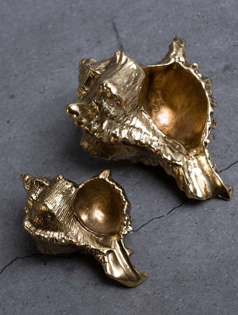 Exclusive Brass Bowl Curios / Paper Weights - Conch Shells (Set of 2)