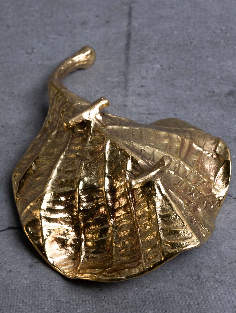 Exclusive Brass Bowl Curios / Paper Weights - Teak & Kadamb Leaves (Set of 2)