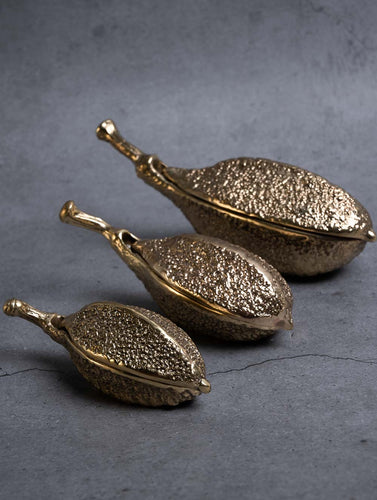 Exclusive Brass Box Curios / Paper Weights - Kanakchampa (Set of 3)