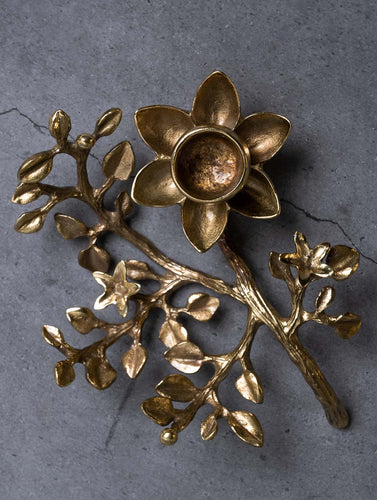 Exclusive Brass Candle Stand - Creeper