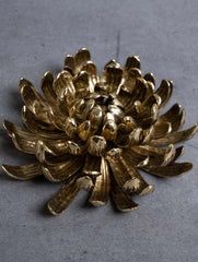 Exclusive Brass Curio - Chrysanthemum