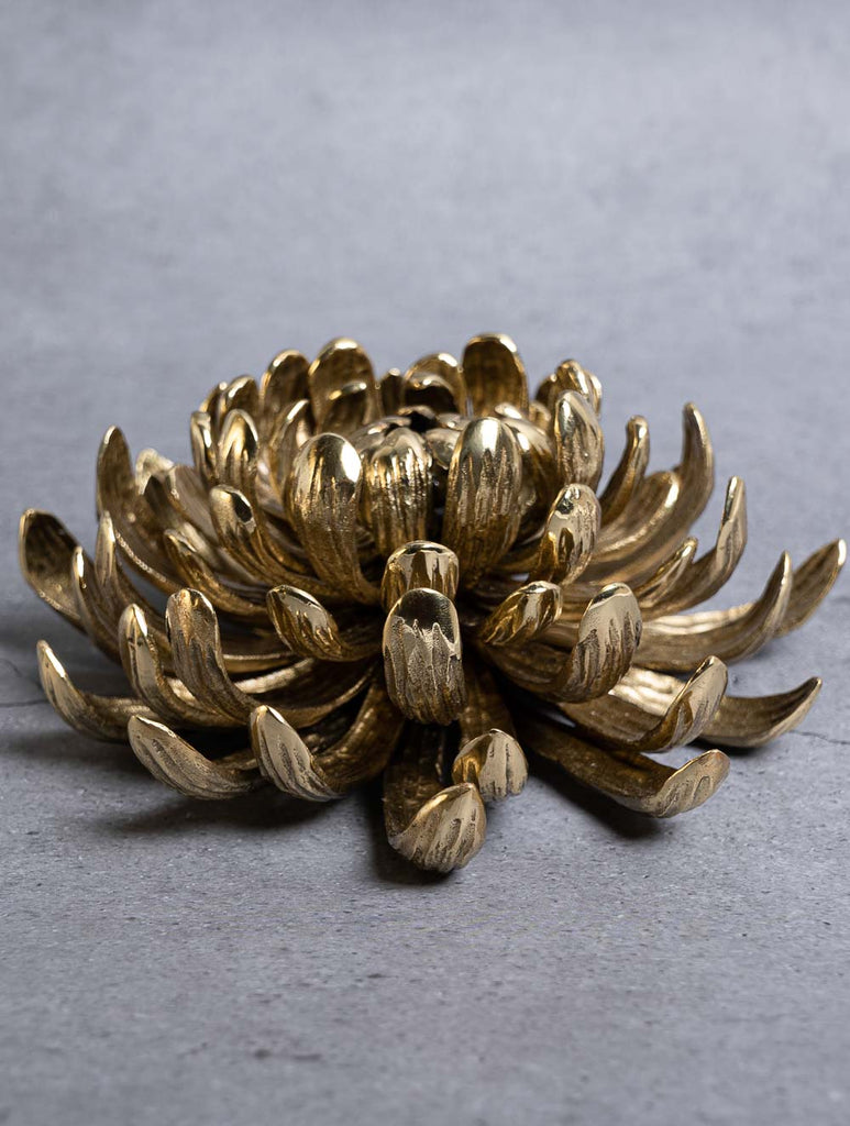 Exclusive Brass Curio - Chrysanthemum