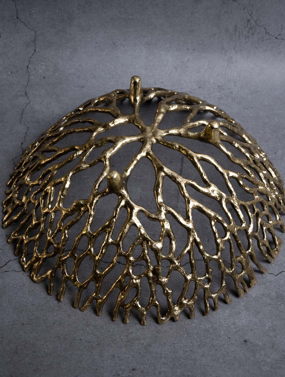 Exclusive Brass Curio/ Bowl - Roots (Large)