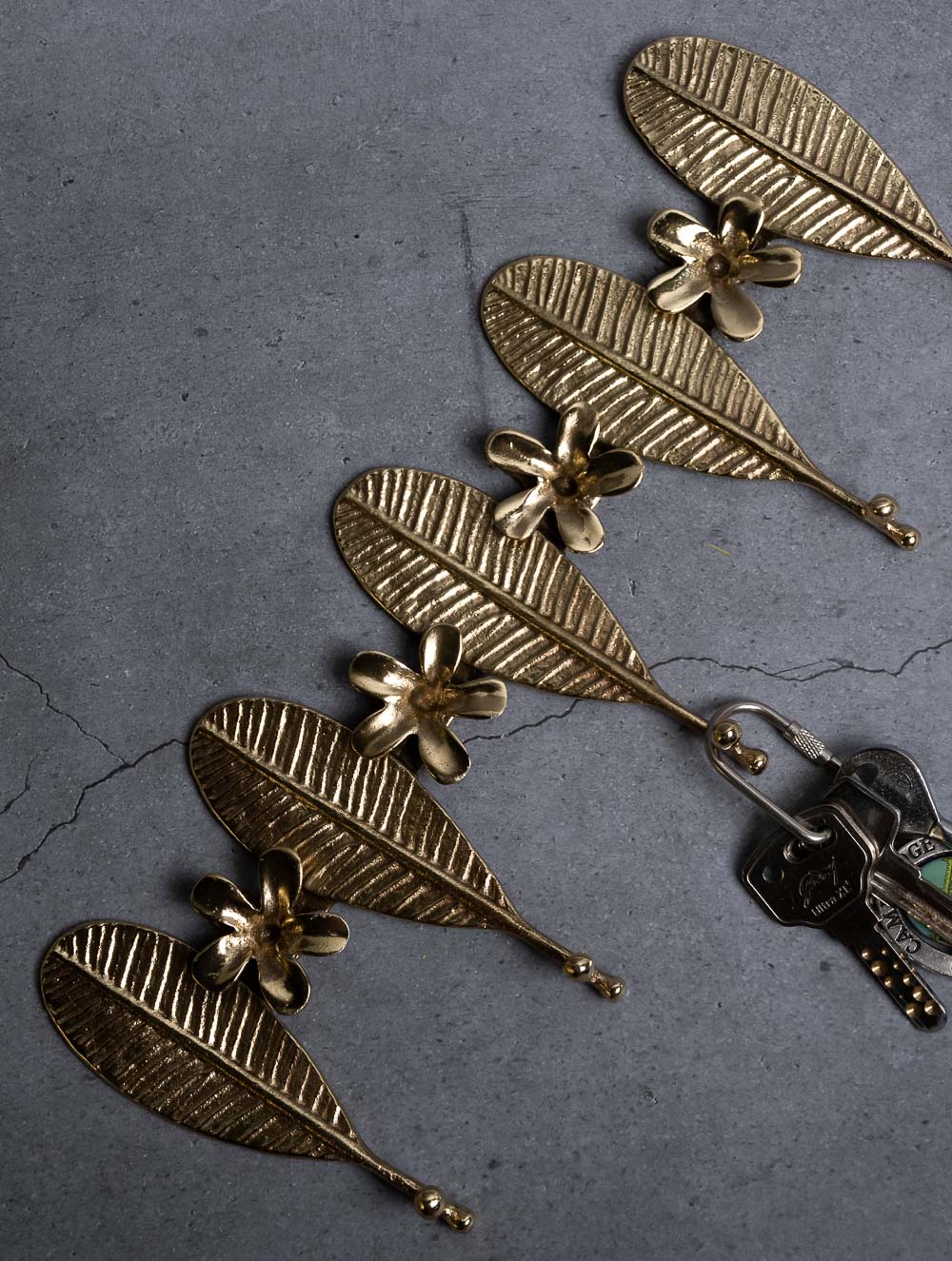 Exclusive Brass Wall Hanger - Champa 