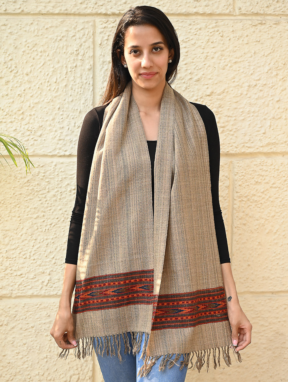 Load image into Gallery viewer, Exclusive Soft Himachal Wool Muffler with Woven Border - Fawn Beige