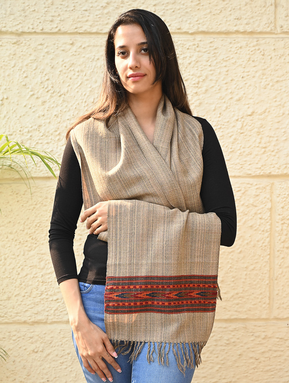 Load image into Gallery viewer, Exclusive Soft Himachal Wool Muffler with Woven Border - Fawn Beige