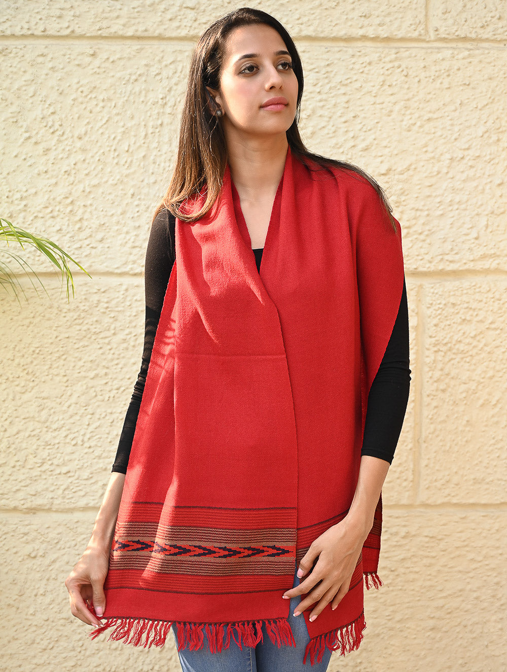 Load image into Gallery viewer, Exclusive Soft Himachal Wool Muffler with Woven Border - Tomatini Trail