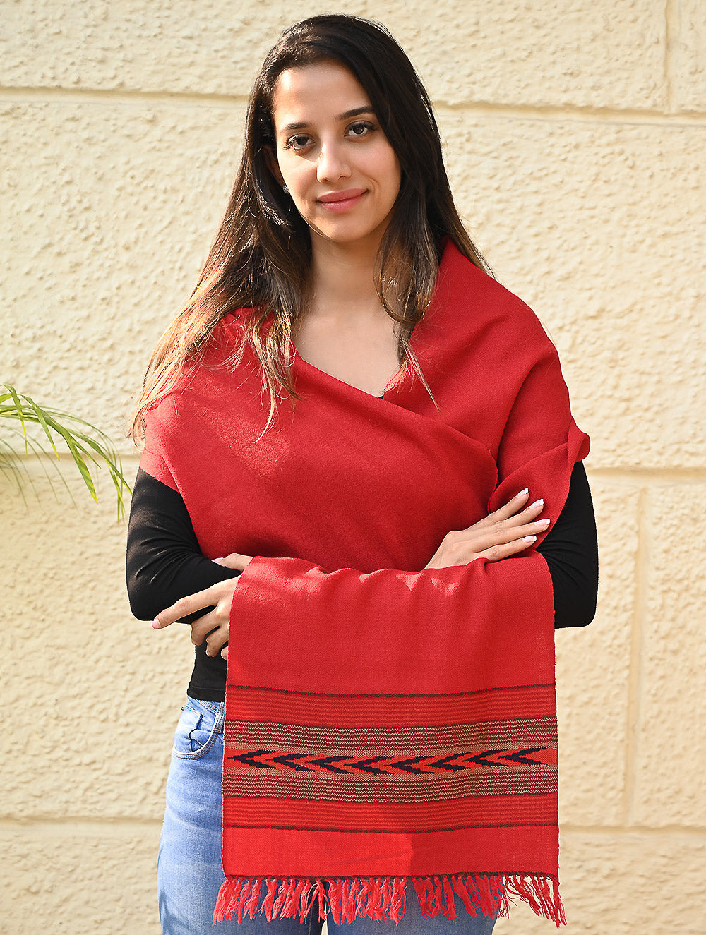 Load image into Gallery viewer, Exclusive Soft Himachal Wool Muffler with Woven Border - Tomatini Trail