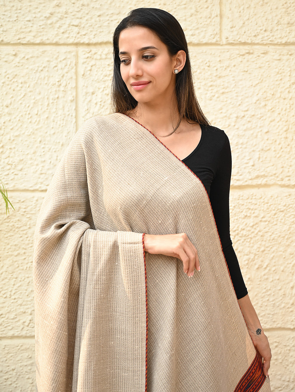 Load image into Gallery viewer, Exclusive Soft Himachal Wool Shawl with Woven Border - Almond Trail