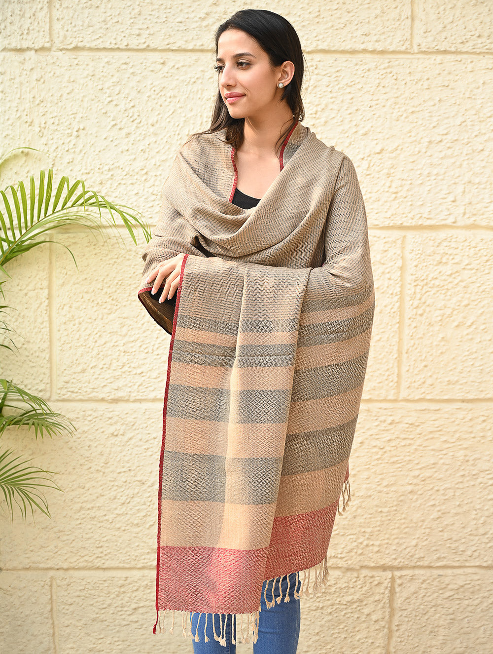 Load image into Gallery viewer, Exclusive Soft Himachal Wool Shawl with Woven Border - Biscuit Taupe