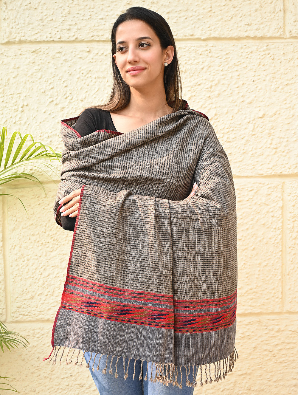 Load image into Gallery viewer, Exclusive Soft Himachal Wool Shawl with Woven Border - Driftwood