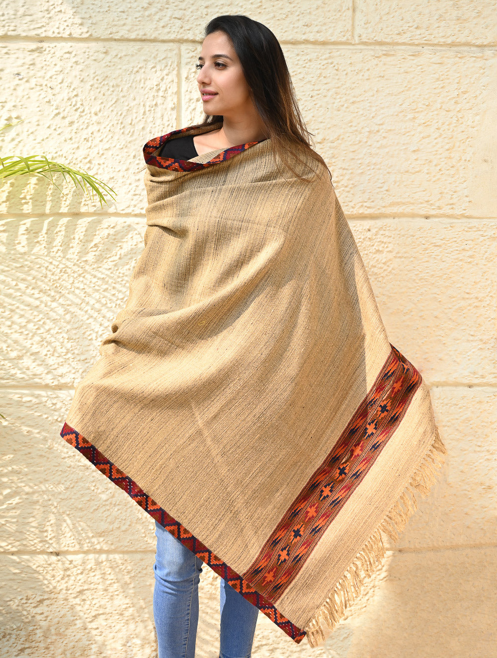 Load image into Gallery viewer, Exclusive Soft Himachal Wool Shawl with Woven Border - Sandstone Birch