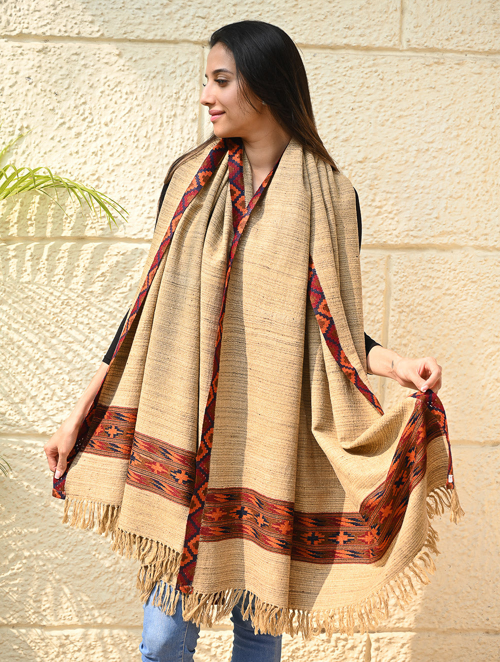 Load image into Gallery viewer, Exclusive Soft Himachal Wool Shawl with Woven Border - Sandstone Birch