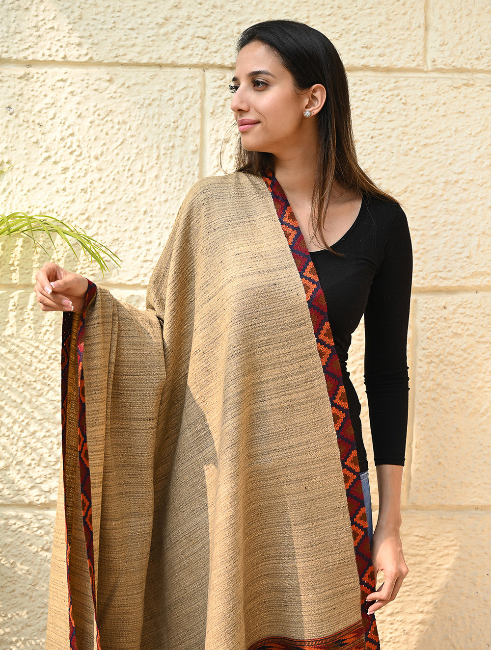 Load image into Gallery viewer, Exclusive Soft Himachal Wool Shawl with Woven Border - Sandstone Birch
