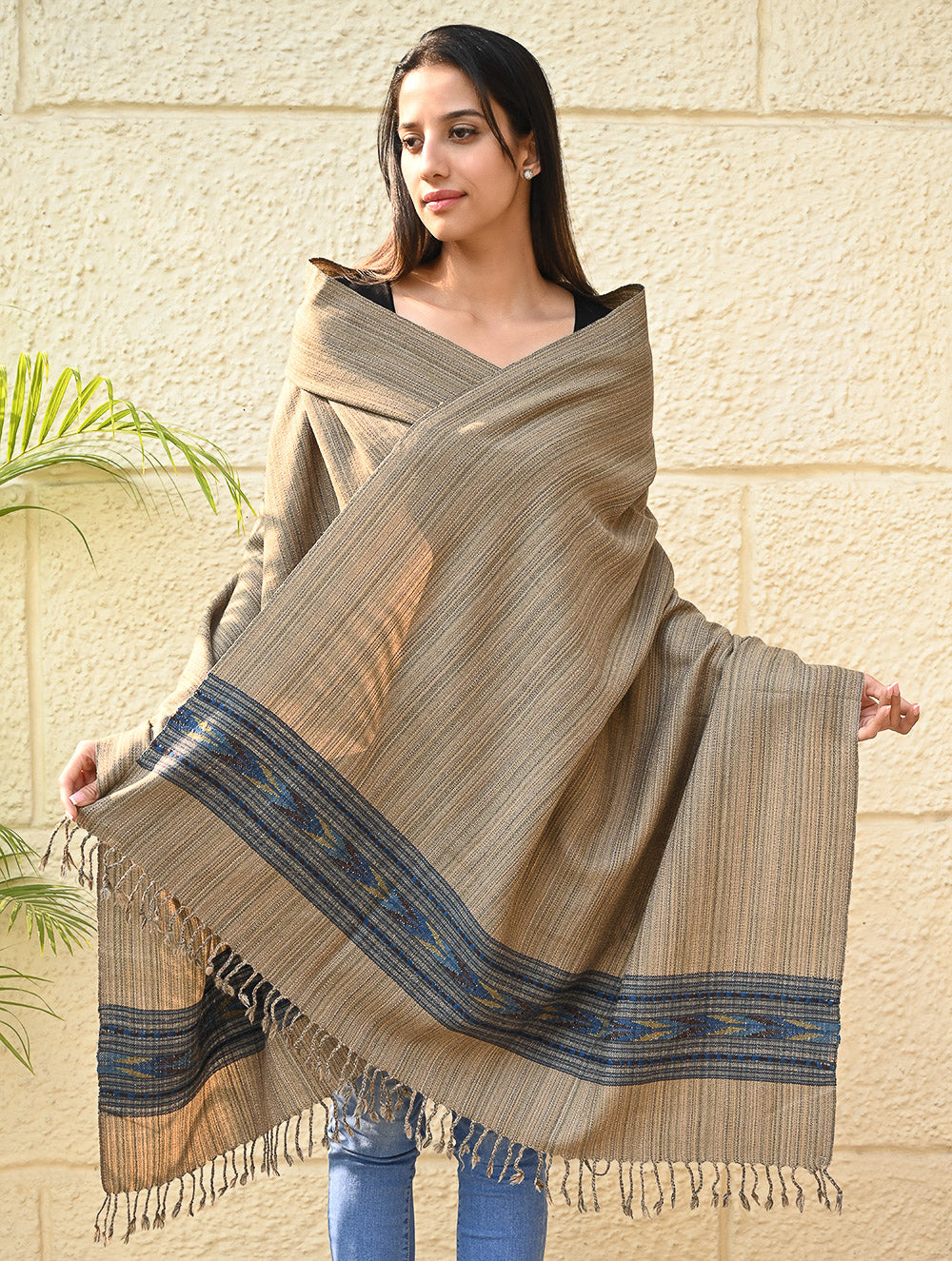 Load image into Gallery viewer, Exclusive Soft Himachal Wool Shawl with Woven Border - Wheatfield