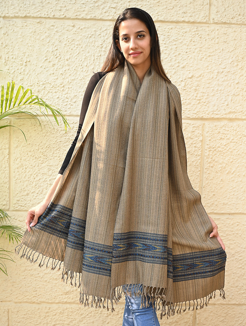 Load image into Gallery viewer, Exclusive Soft Himachal Wool Shawl with Woven Border - Wheatfield