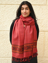 Load image into Gallery viewer, Exclusive Soft Himachal Wool Stole with Woven Border - Coral Bloom