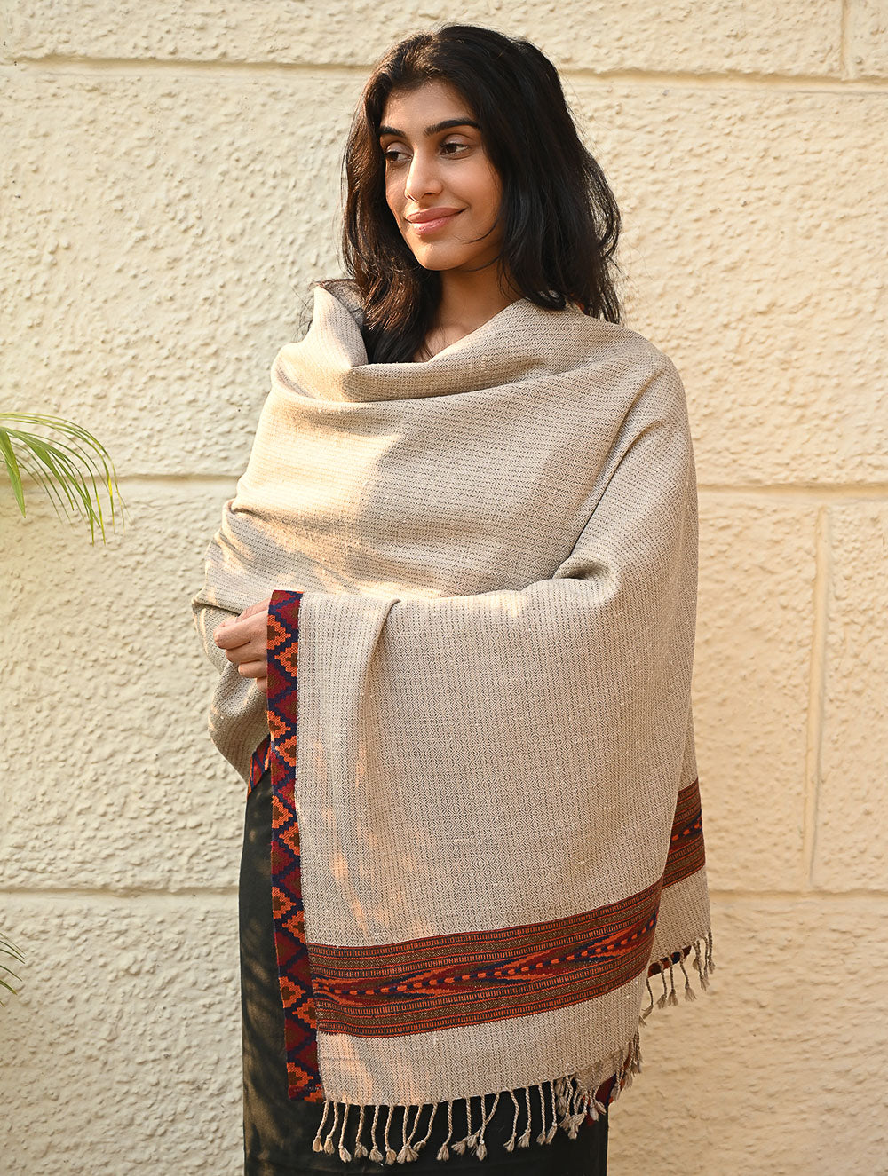Load image into Gallery viewer, Exclusive Soft Himachal Wool Stole with Woven Border - Desert Trail